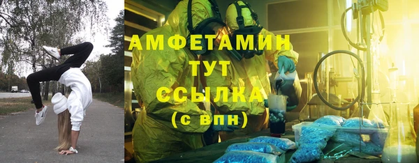 таблы Богородицк