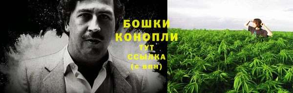таблы Богородицк